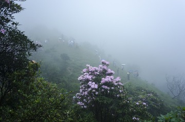 _DSC0454