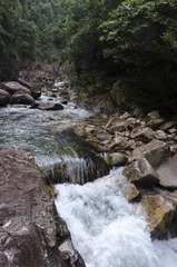 _DSC0374