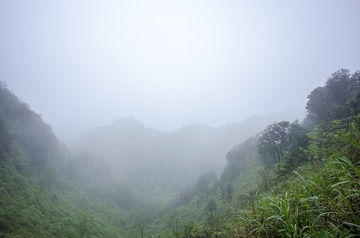 _DSC0242