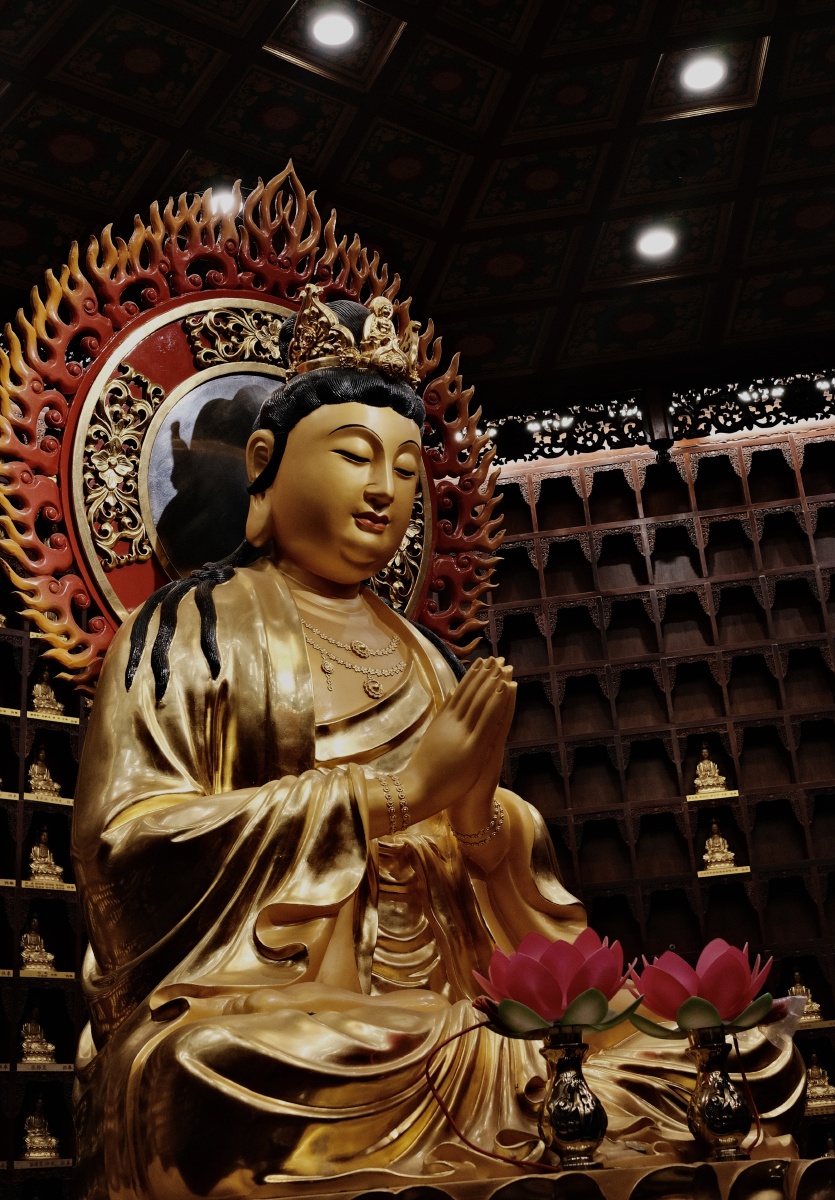 送你三胎相应号召东海观音寺登高