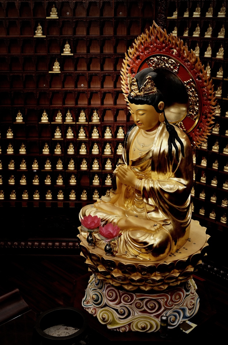 送你三胎相应号召东海观音寺登高