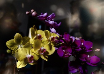 41D93302-8F7B-4ED1-85FF-FDE99AF9BF30/L0/001