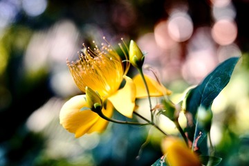 FED32D0C-46B4-405C-8A76-596BB130BA9C/L0/001