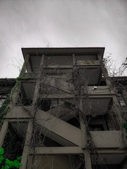 25524