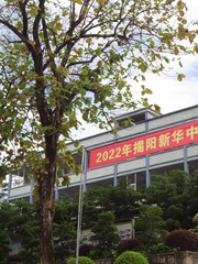 36810D15-FF95-43A8-9CD5-65BA79FA887F/L0/001