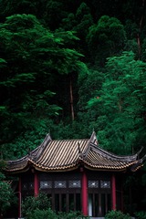 5D900C7F-BDEA-4558-A2BB-CEE35552045C/L0/001