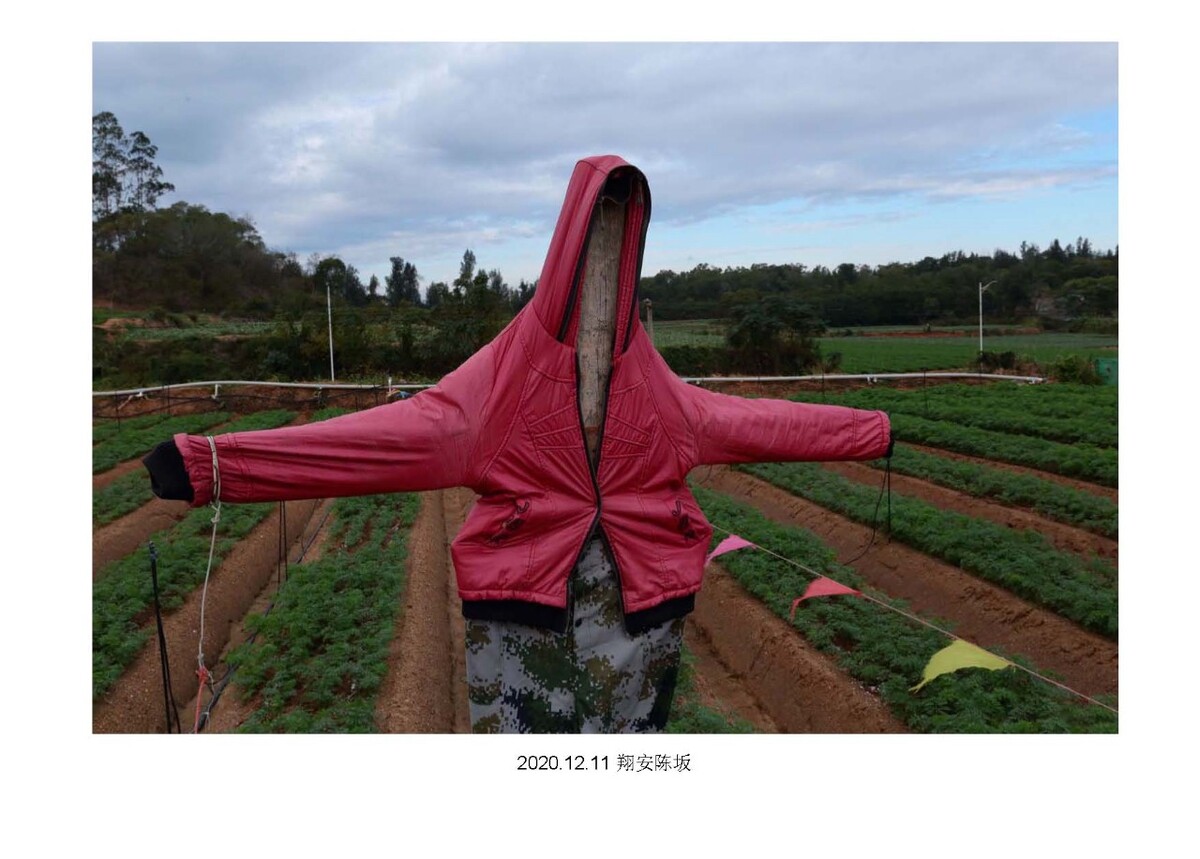 38坊网 日本留学丨同志社大学的申请介绍 38坊网 留学 日本 推荐信 毕业证明 内部推荐 松江招聘网 38坊网 日本留学丨同志社大学的申请介绍 38坊网 留学 日本 推荐信 毕业证明 内部推荐 松江招聘网