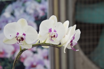 _DSC0404