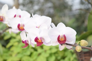 _DSC0421