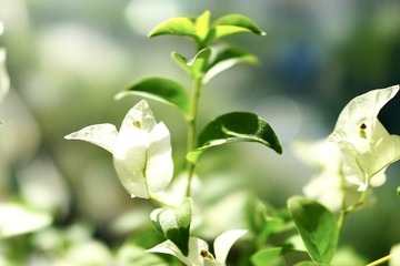 B78DB0C8-2F7C-468C-A033-3AB06025FCB2/L0/001