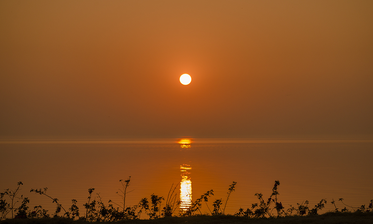 夕阳映照万顷波