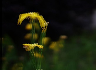70430
