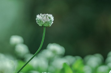 67483