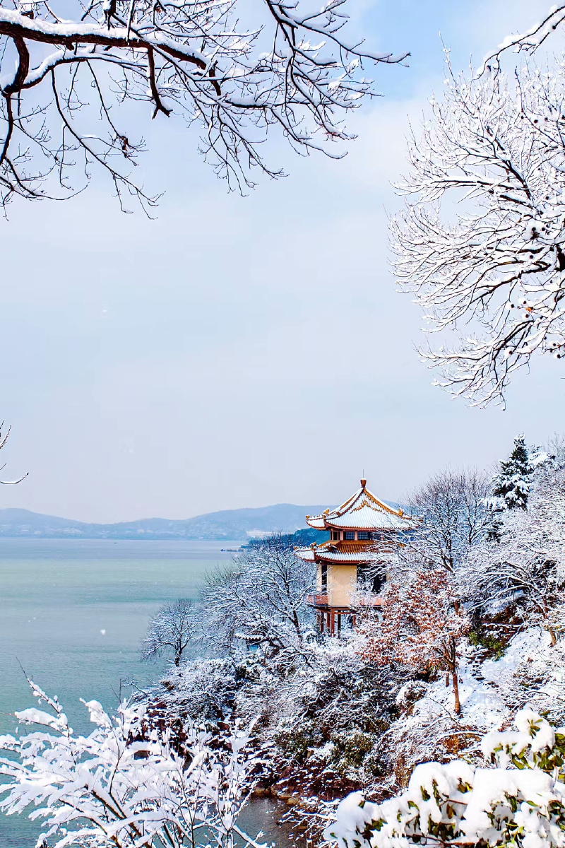鼋头渚的冬天