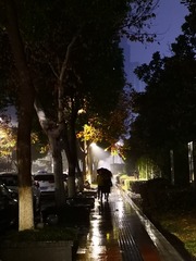 4380164