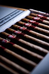 F37F83A9-D11E-4F15-BBE3-F420D25EDC20/L0/001