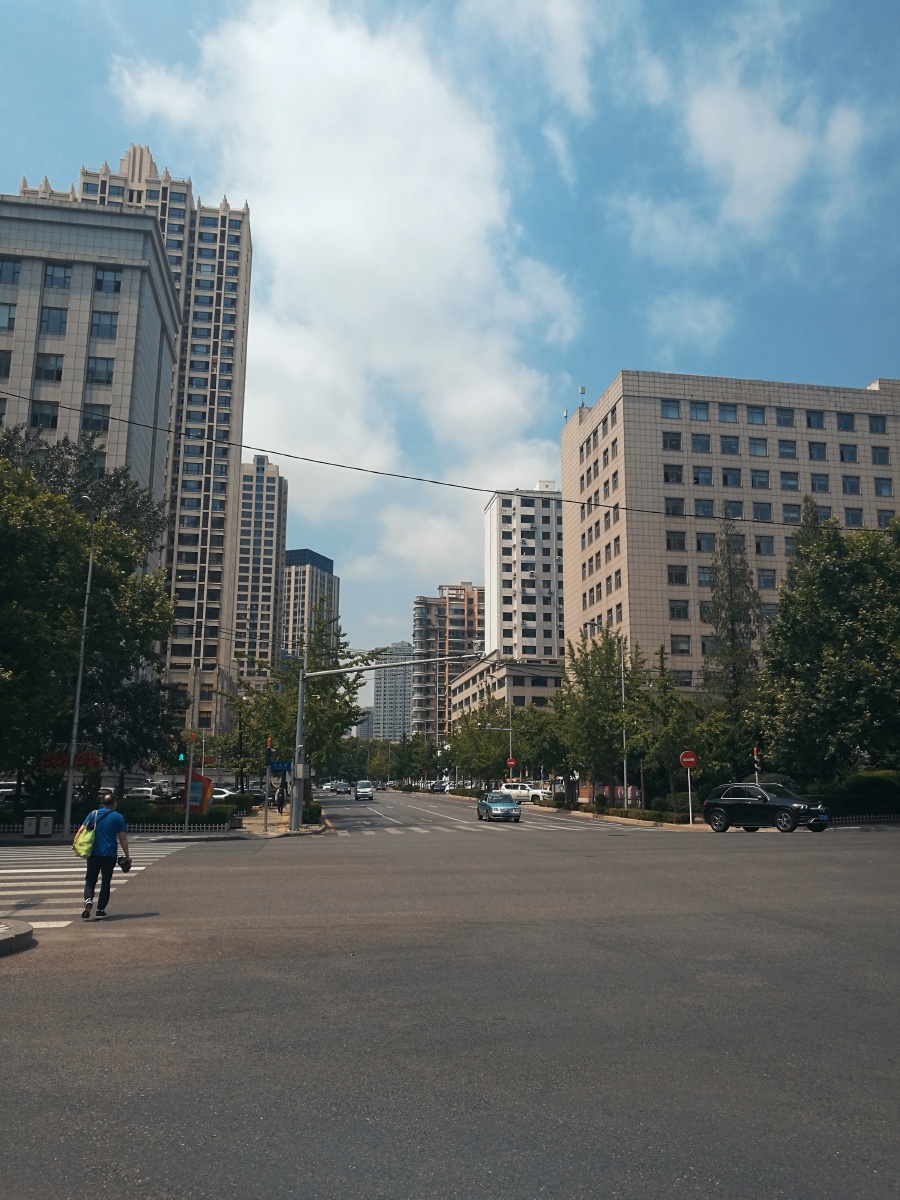 散步在大连的街头随处可见的绿化让人感觉很舒服大连真的很漂亮