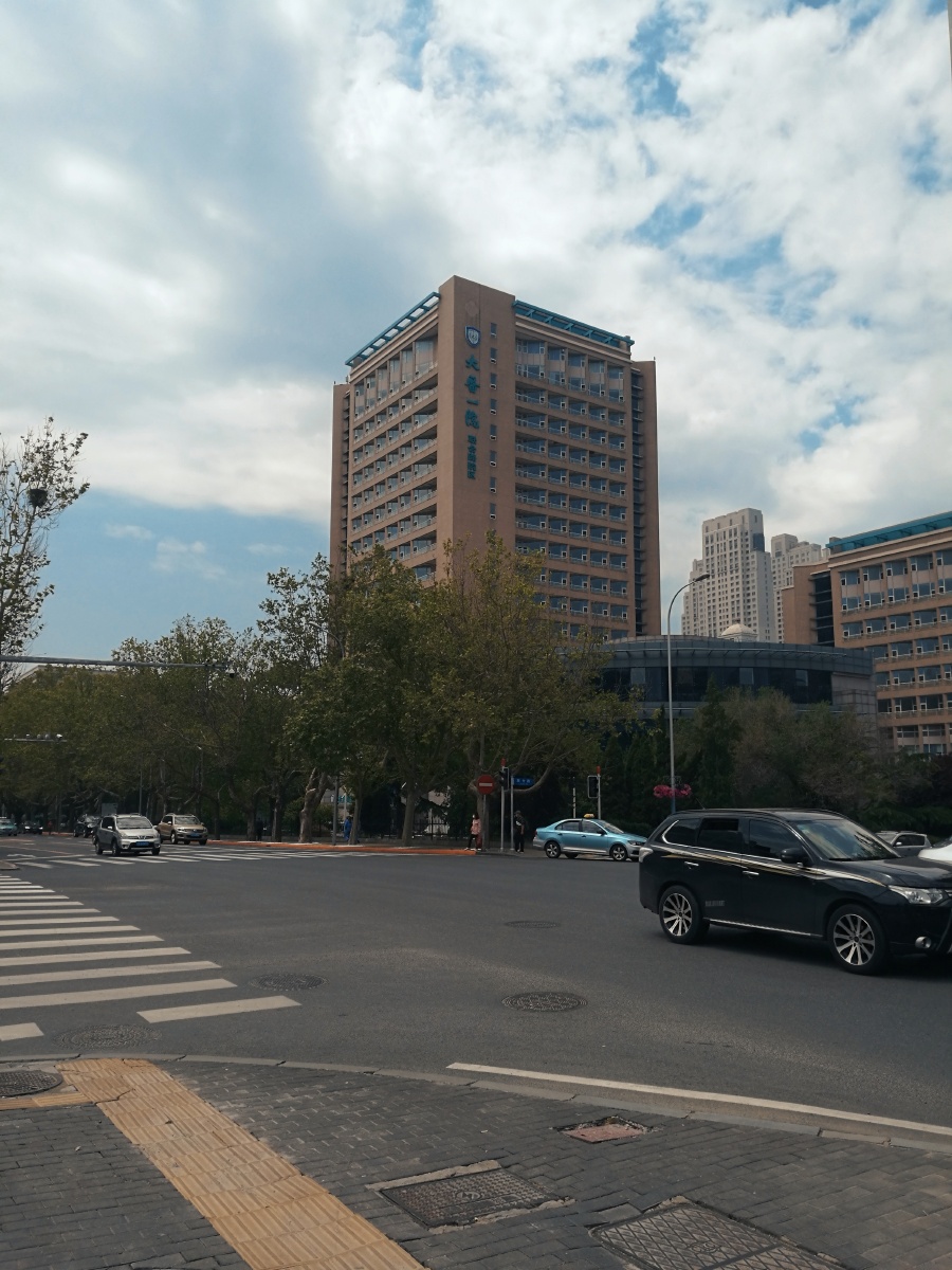 大连高尔基路散步随手拍拍摄不足之处欢迎专业人士留言评论