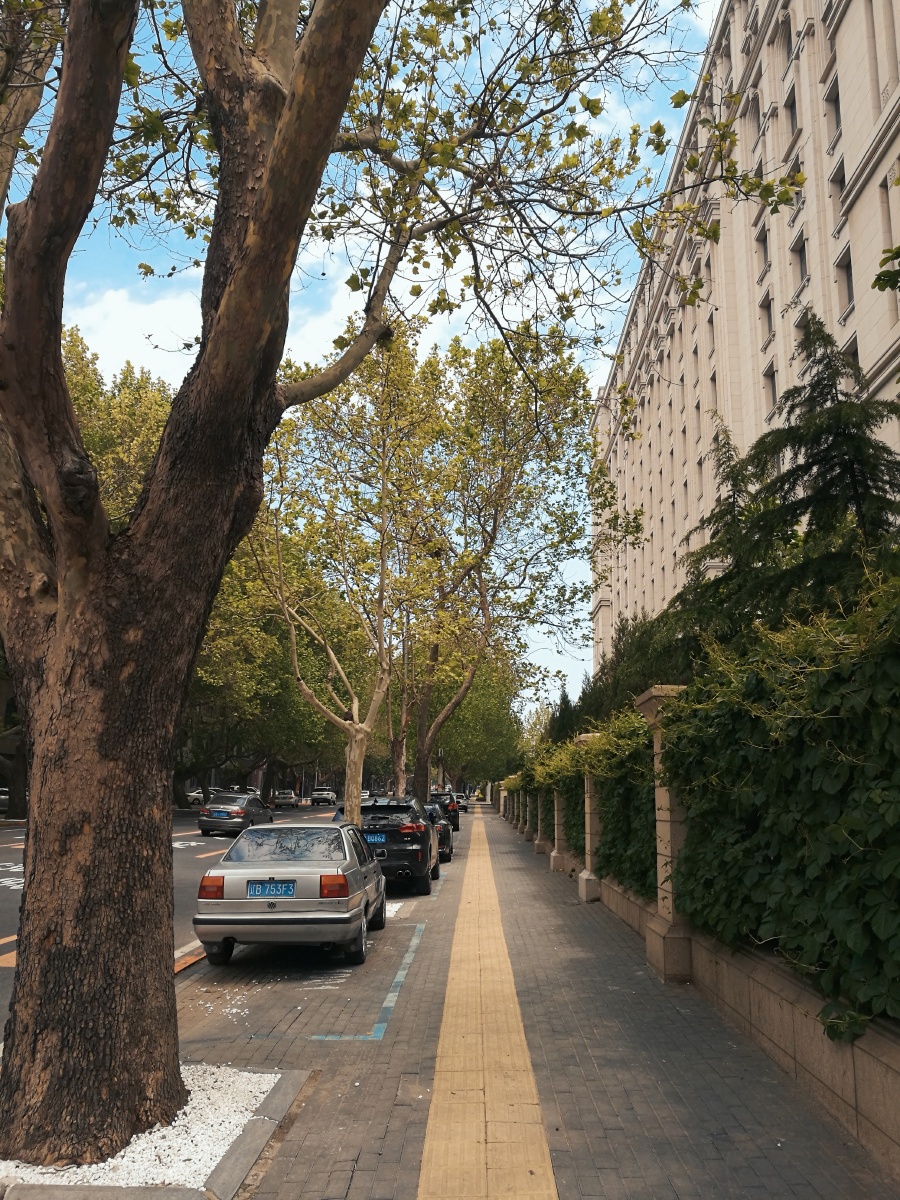 大连高尔基路散步随手拍拍摄不足之处欢迎专业人士留言评论