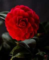 608E8553-8C27-494C-B916-8B99104016BD/L0/001