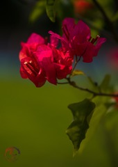 F8A759DA-478D-4203-A563-E298F0F89AA7/L0/001