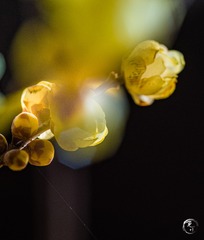 7C967B5E-8CD5-4D20-ACD9-C085CC2CE290/L0/001