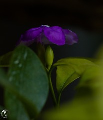 386441B0-0F85-4F22-BFE7-99807FDCC9D6/L0/001