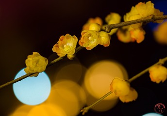 C6BBC958-4246-444F-AC22-AA5FA45CFAA2/L0/001