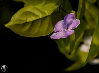 FA0D1ACD-BA74-40DF-8152-61701ABF967B/L0/001
