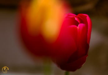 EB9D6FD7-E623-422E-A036-2C8EFAF3075B/L0/001