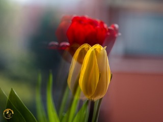 8C6CEA79-9B0F-4287-978D-B2E2293245AC/L0/001