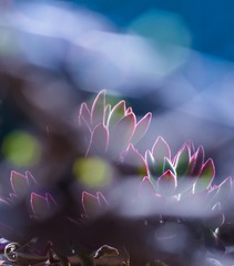 AB7CBB95-F331-4F42-8E99-034E630BC995/L0/001