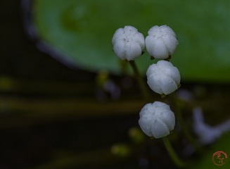 CF005653-52A4-49E0-8ED6-C03CE90B6AA3/L0/001