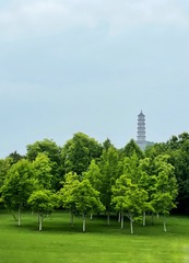 732C76BC-6FF2-4306-B07B-2BB4ABC8430D/L0/001