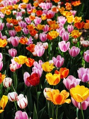 9F29DD53-B5E1-4997-958B-58220719C695/L0/001