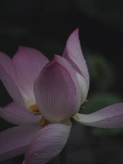 A57FF971-C043-487D-A603-05418F634405/L0/001