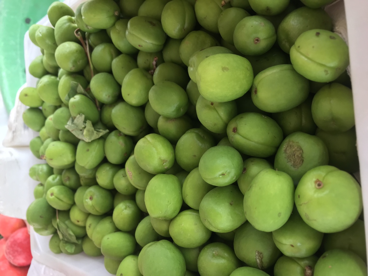 和田青杏 - tooi - 图虫