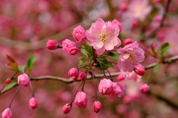 943F939A-5C68-451B-A81B-52F9AFAF0A4E/L0/001