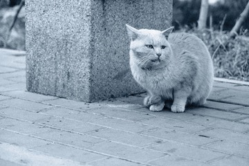 ED5A9533-0618-48F6-945E-6435A58DD3BE/L0/001