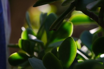 E1AA3B00-5C41-4415-91C6-44E717E5D9A7/L0/001