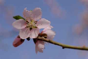 5F5065C7-851C-43C7-9137-B1EBA2B35CB0/L0/001