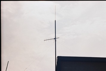 9815