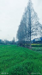 110570