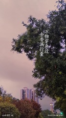 113809