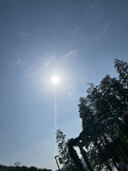 DE034962-47CE-420F-A90D-8F86C6986E2A/L0/001