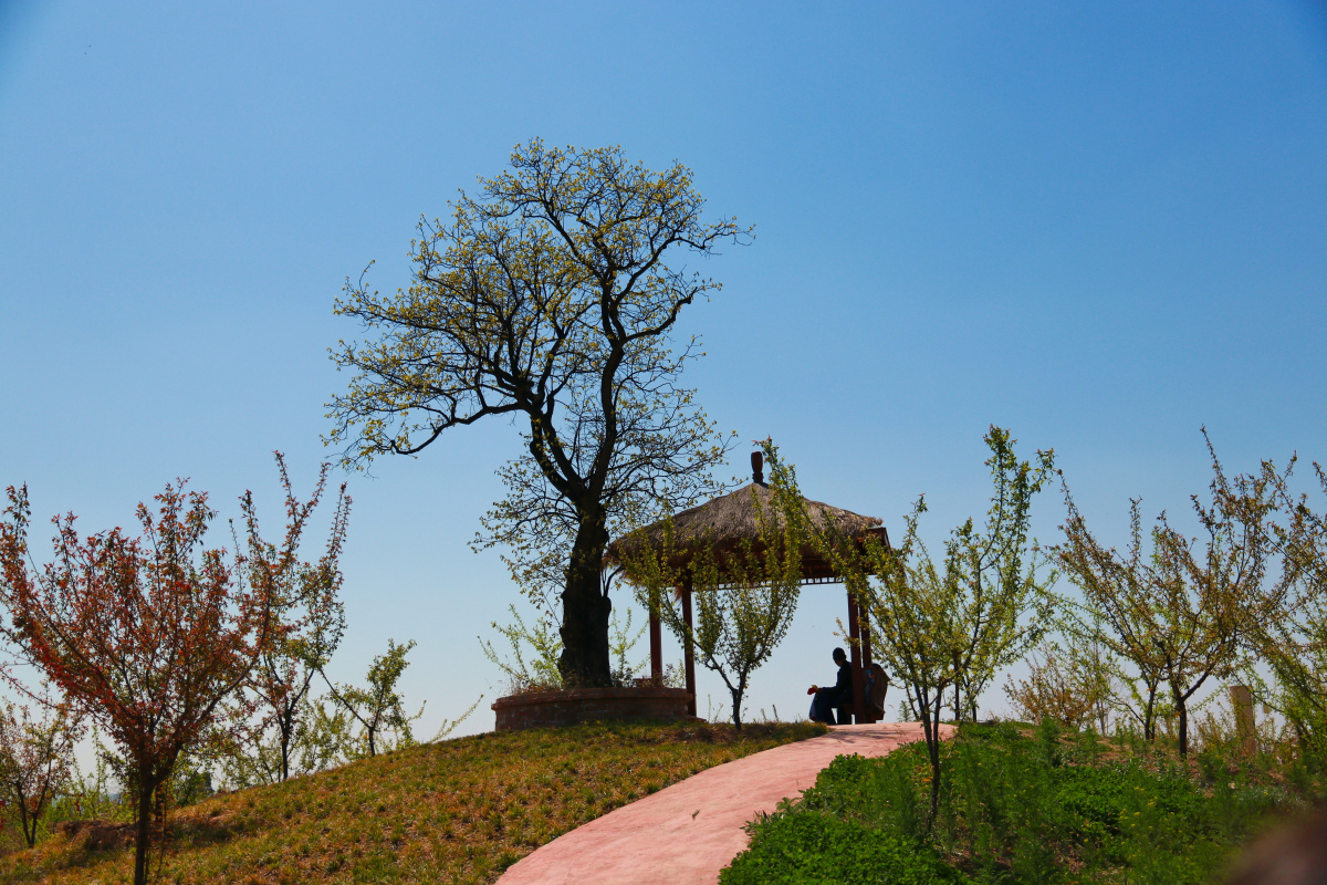 陕西省 白水县 和园