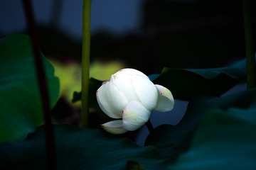 291041