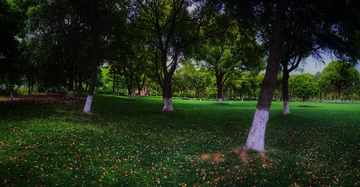 3E499857-4FD5-4F21-898F-90CDAC2D0094/L0/001