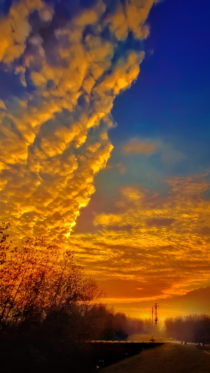 霞海醉蓝天腾紫瑞