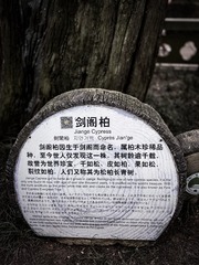 3442F744-5034-40AF-8DDD-5CF9BB0115E3/L0/001